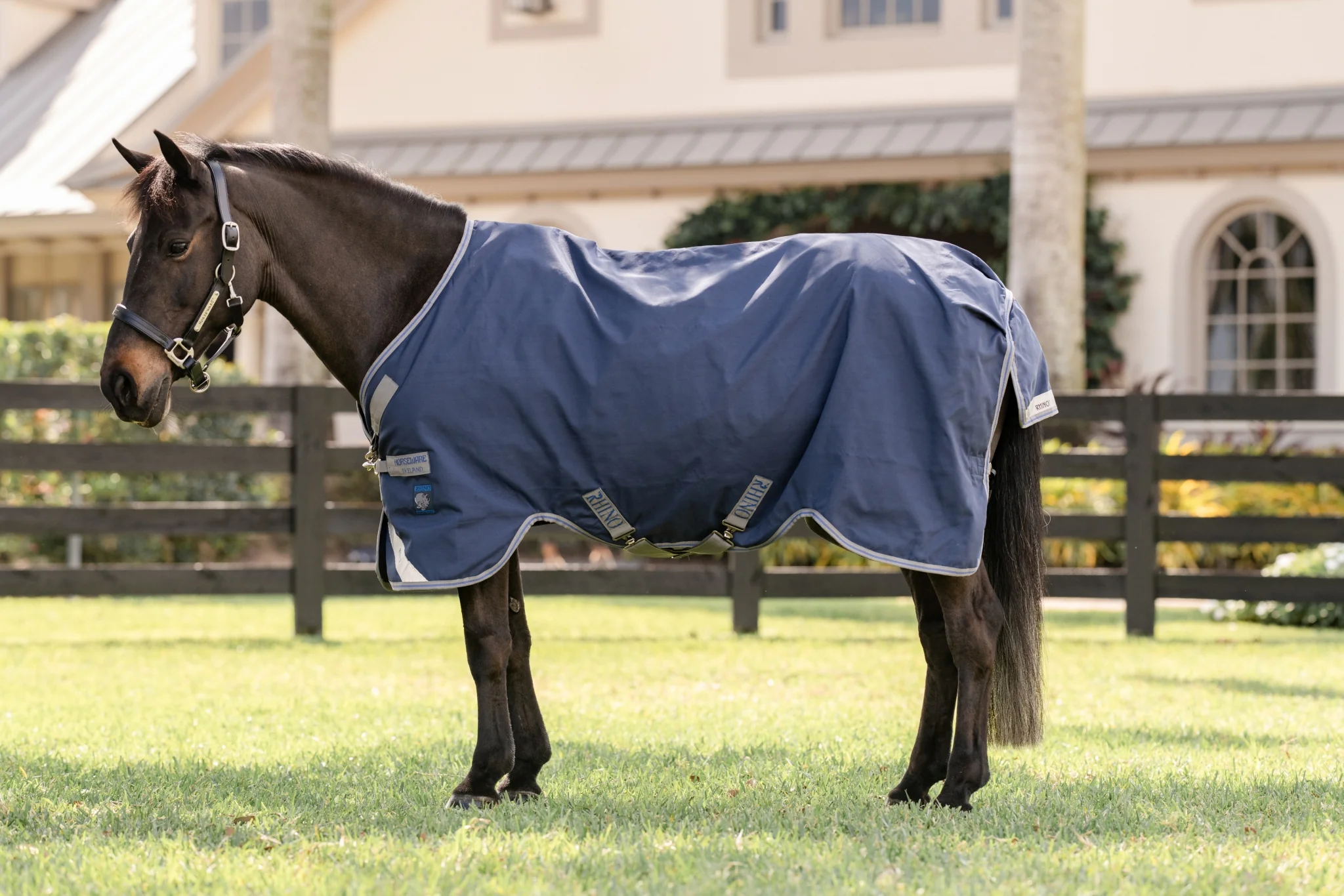 Rhino Turnout 100g 66 Navy/Gray - Image 2