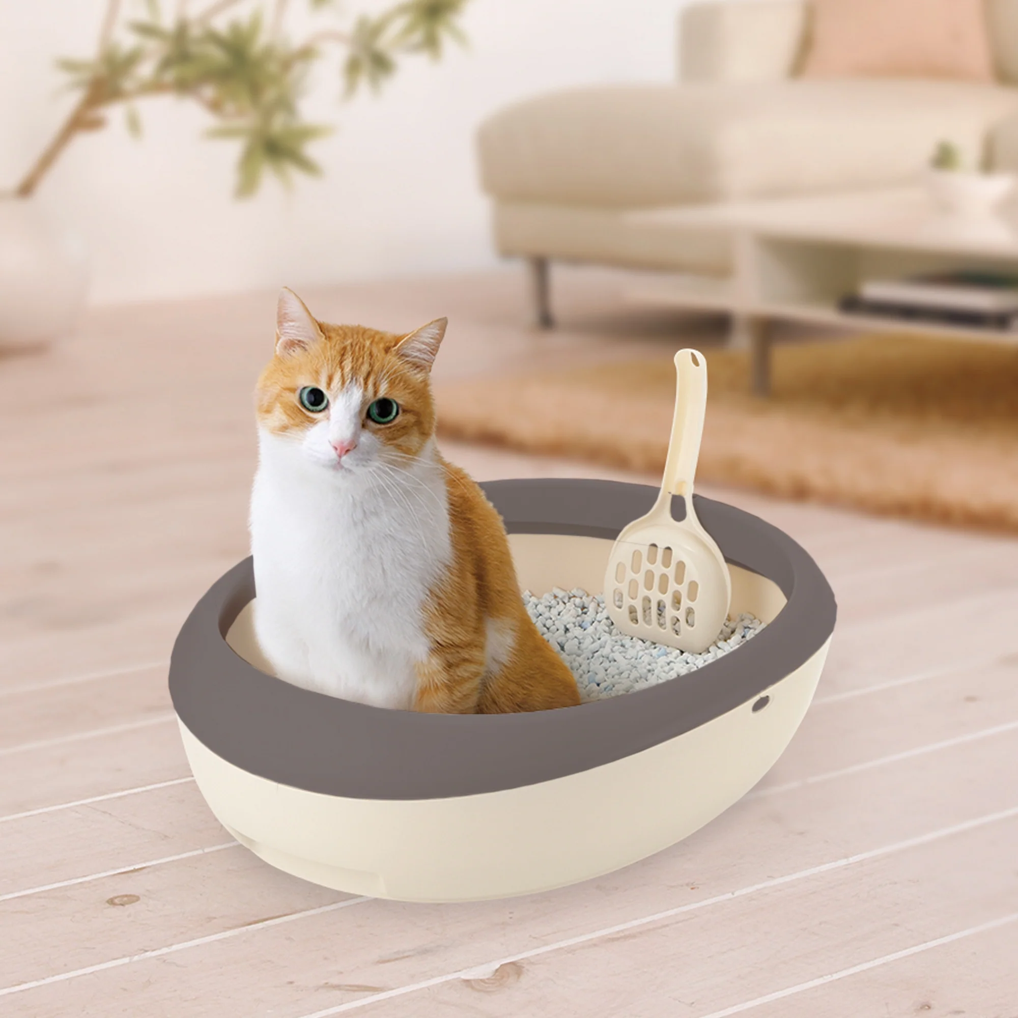 Richell PAW TRAX Top Open Cat Litter Pan - Image 8