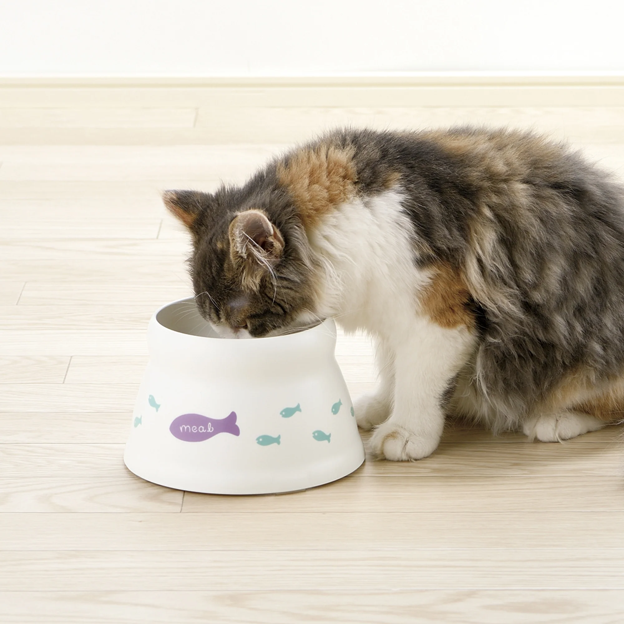 Richell Raised Cat Bowl - Image 4