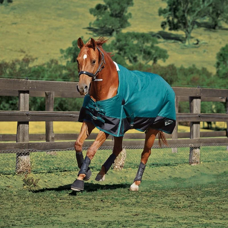 Saxon 1200D Standard Med Blanket - Image 4
