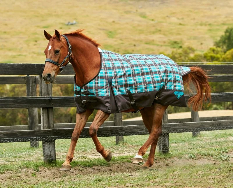 Saxon 1200D Standard Med Blanket - Image 5