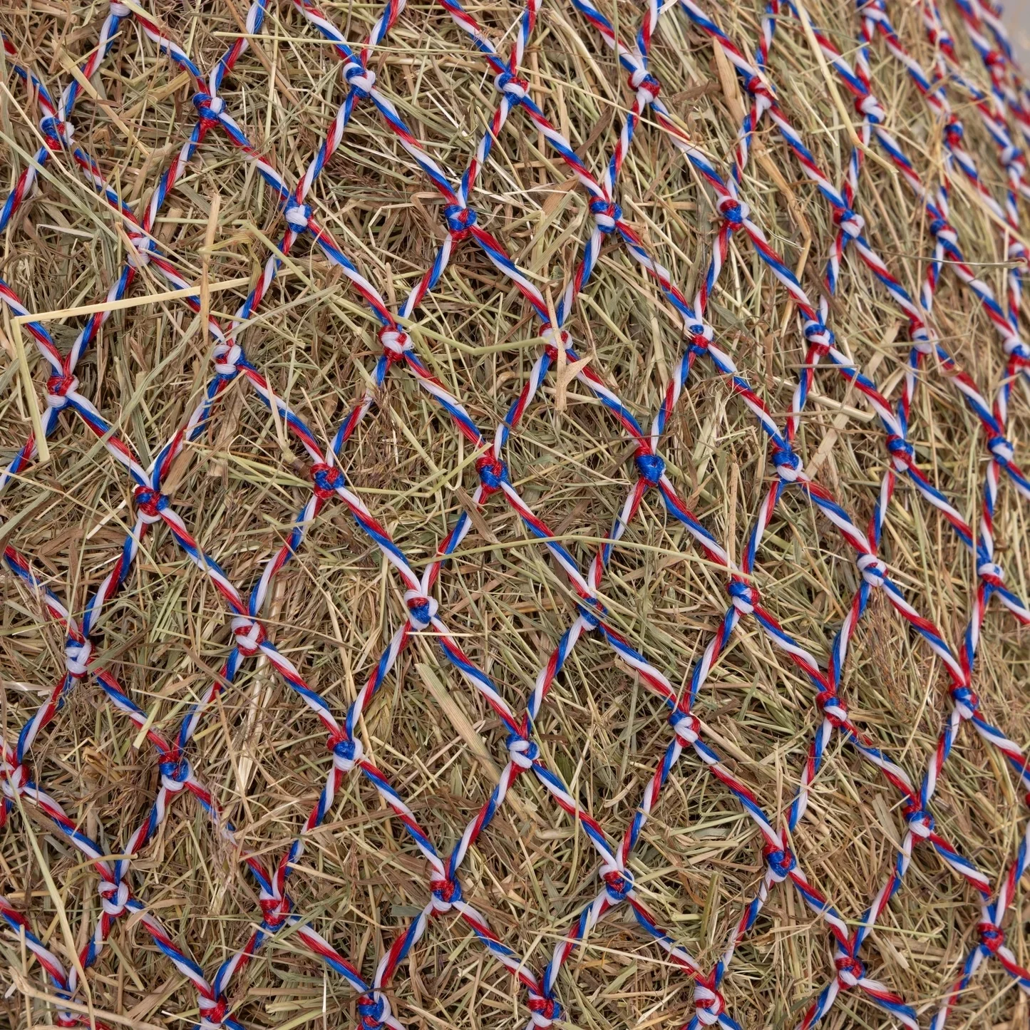 Shires Greedy Feeder Color-Twist Net - Image 11