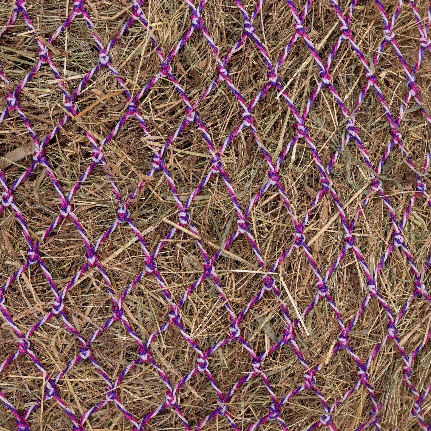 Shires Greedy Feeder Color-Twist Net - Image 9