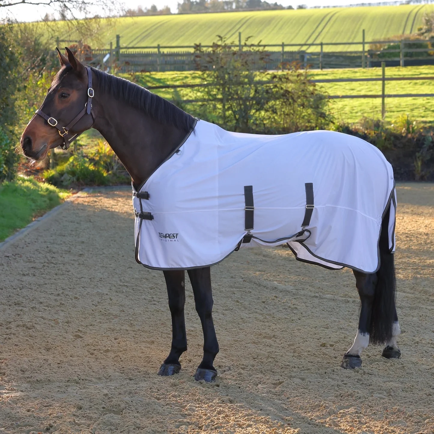 Shires Tempest Original Standard Neck Fly Sheet - Image 2