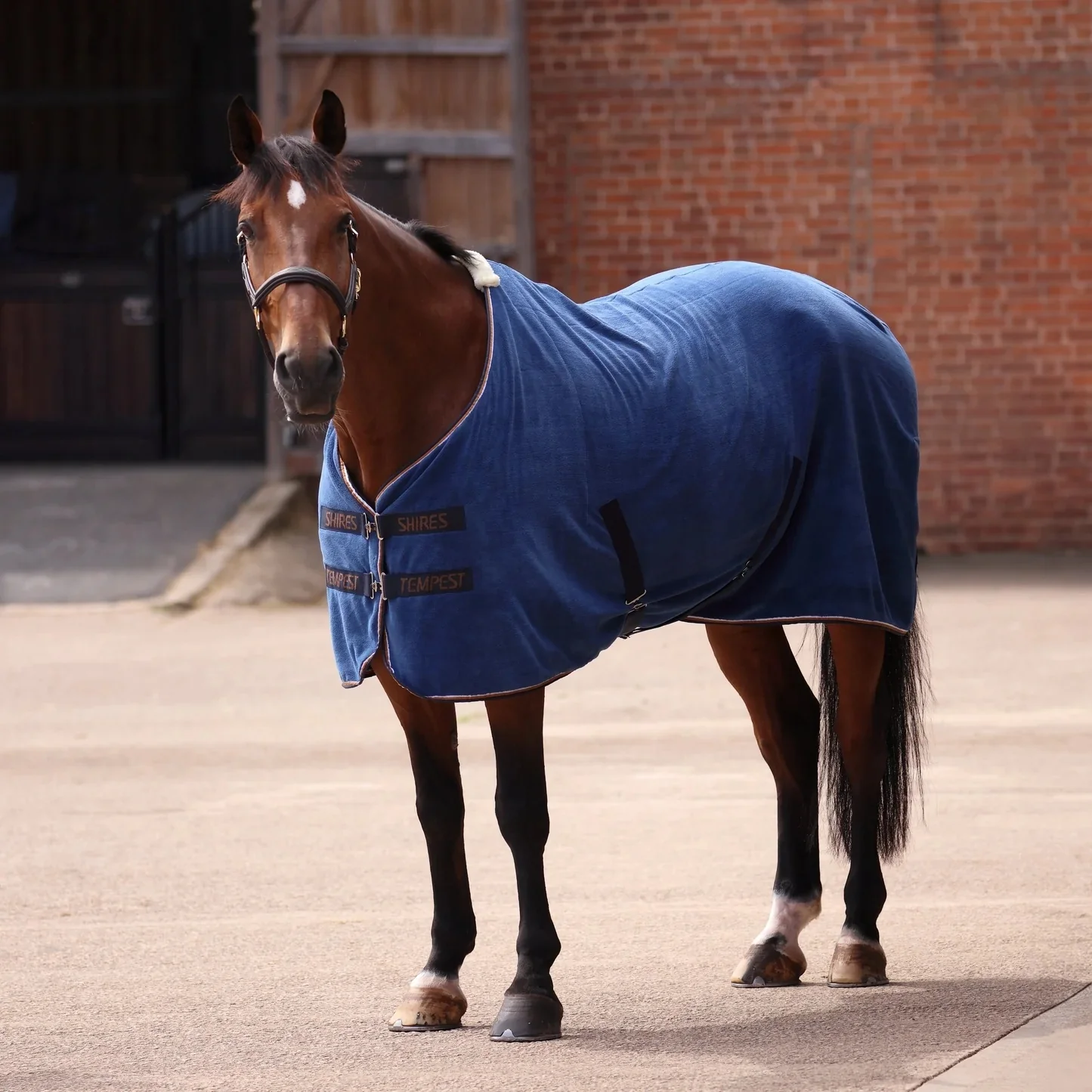 Shires Tempest Original Ultra Drying Blanket