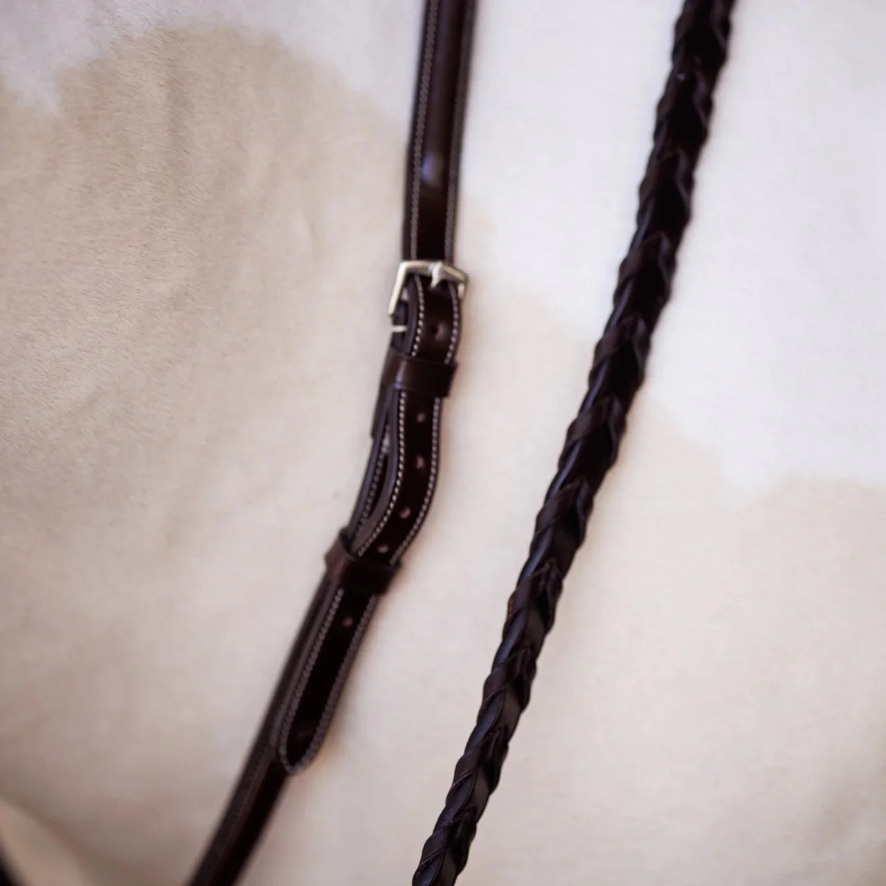 Shires Velociti Fancy Square Raised Standing Martingale - Image 2