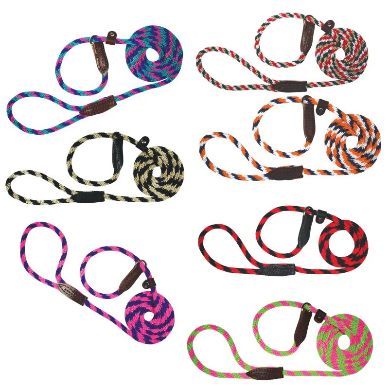 Slip Lead for Dogs - Image 21