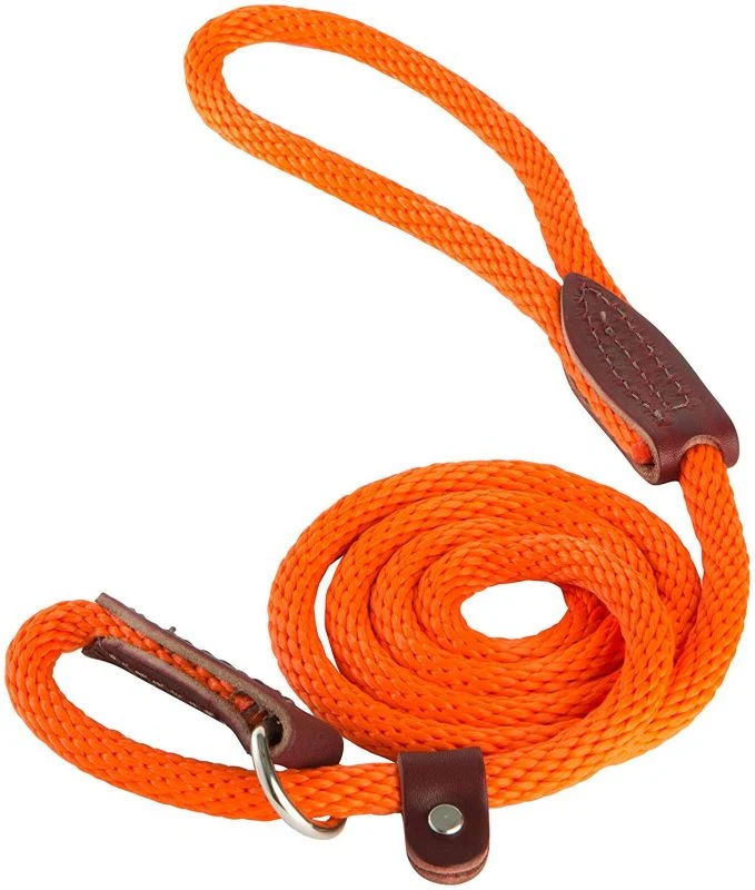 Slip Lead for Dogs - Image 8