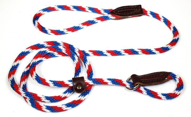 Slip Lead for Dogs - Image 9