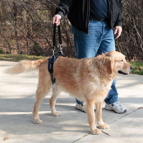 CareLift Rear Lifting Aid for Dogs - Image 4