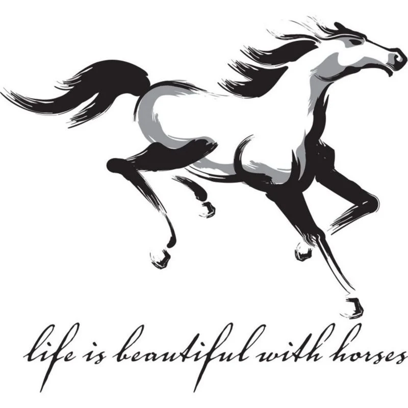 Sound Equine Ladies T-Shirt Life Is Beautiful