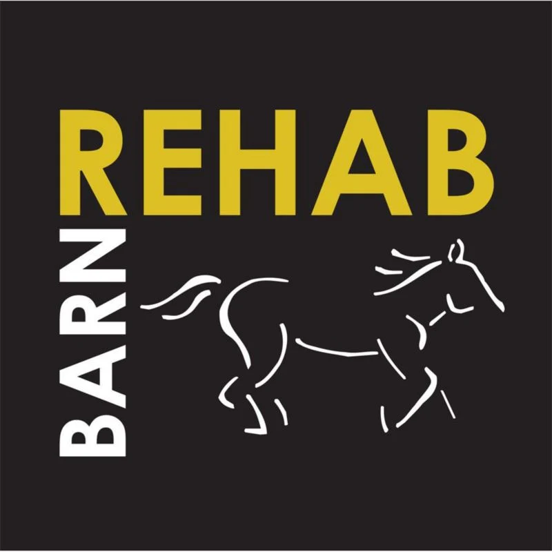 Sound Equine Ladies Tee Shirt Barn Rehab - Image 2