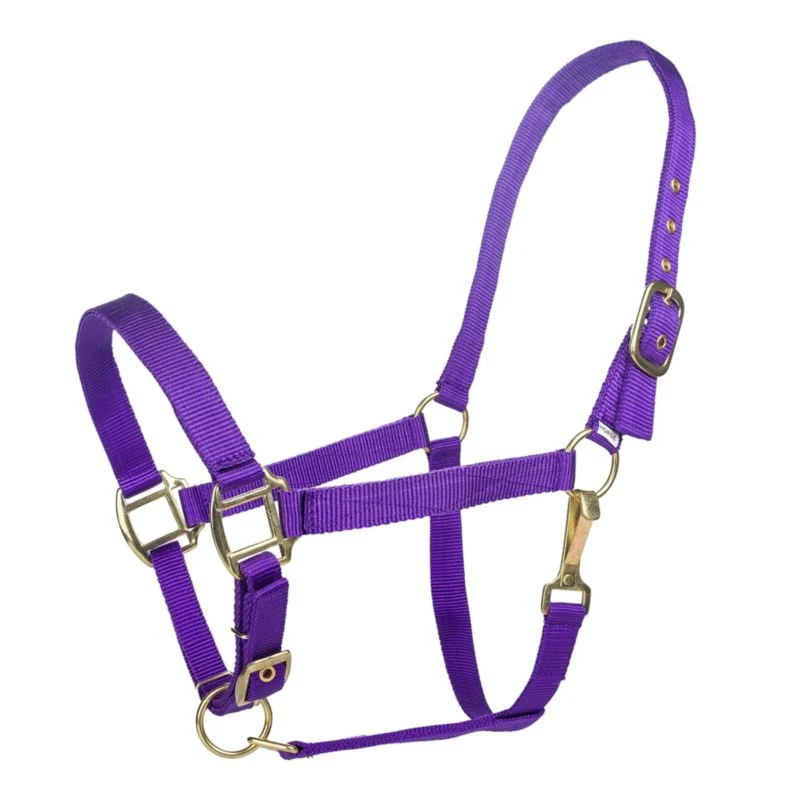 Tabelo Nylon Halter with Adj Chin - Image 15