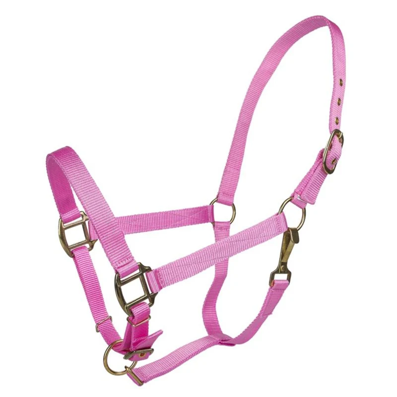 Tabelo Nylon Halter with Adj Chin - Image 6