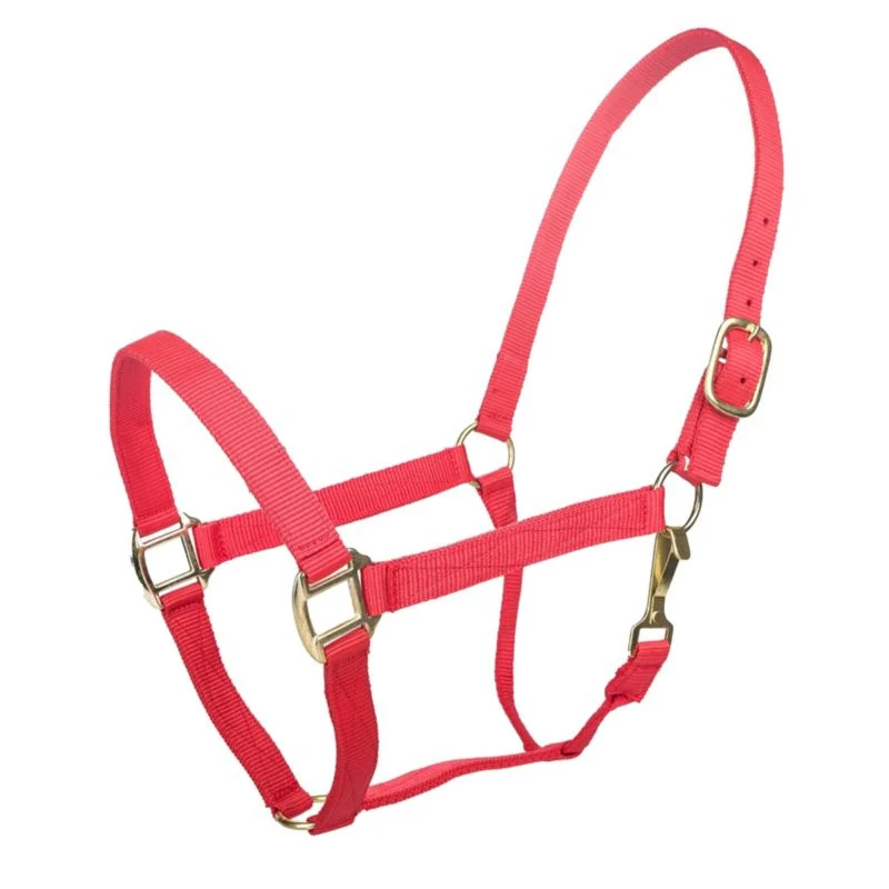 Tabelo Nylon Halter with Snap - Image 23