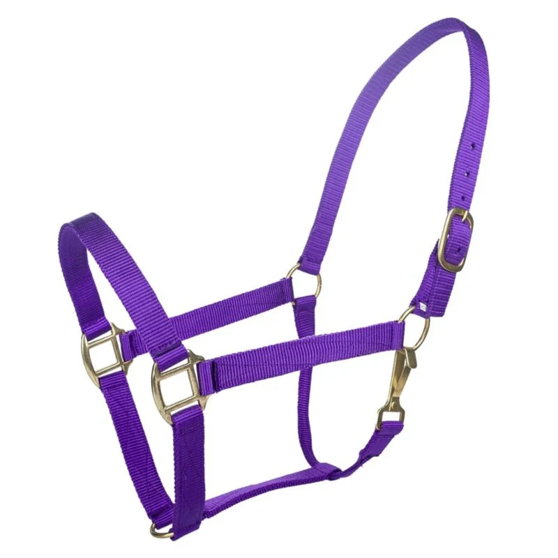 Tabelo Nylon Halter with Snap - Image 24