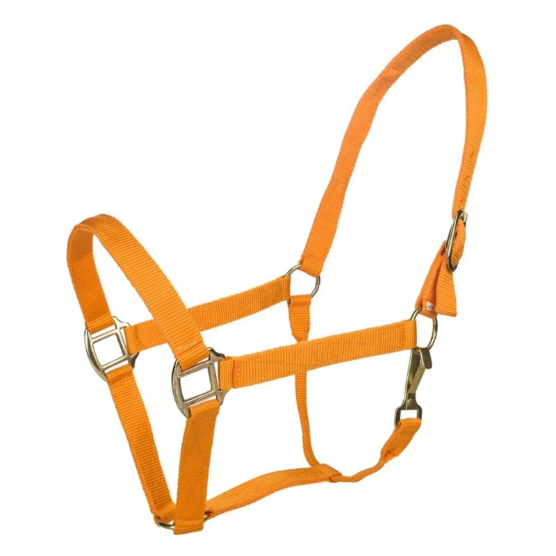 Tabelo Nylon Halter with Snap - Image 4