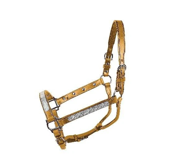 Tory Leather Oklahoma Straight Cheek Economy Show Halter - Image 4