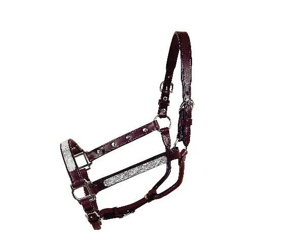Tory Leather Oklahoma Straight Cheek Economy Show Halter - Image 5