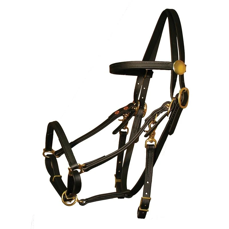 Tucker Beta BioThane Bridle with Brass - Image 3