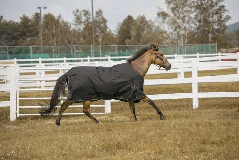 TuffRider 1200D Comfy Turnout Blanket - Image 2