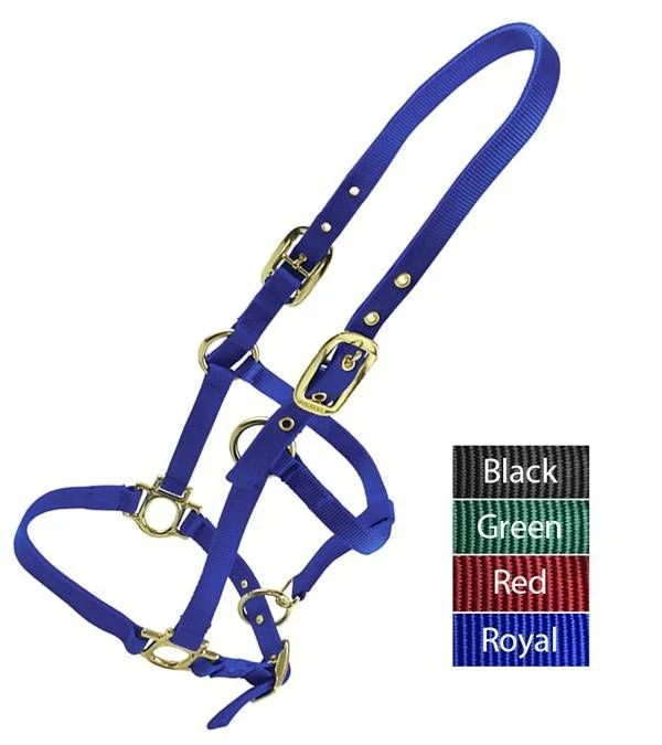 Valhoma Weanling Halter - Image 3