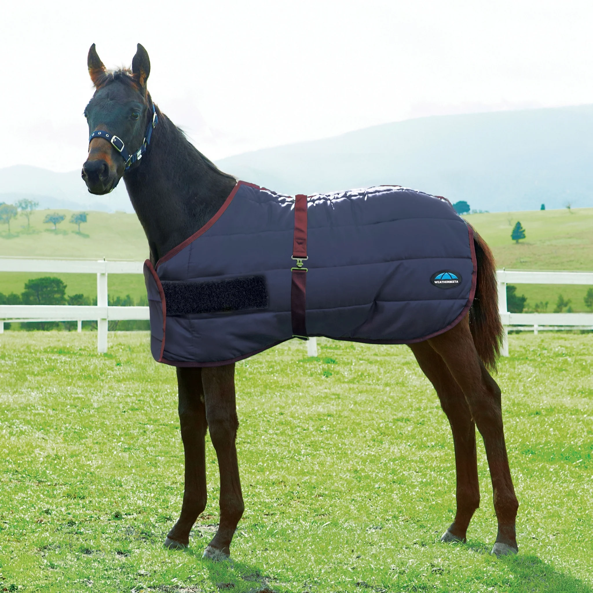 Weatherbeeta 420D Foal Standard Neck Medium - Image 2