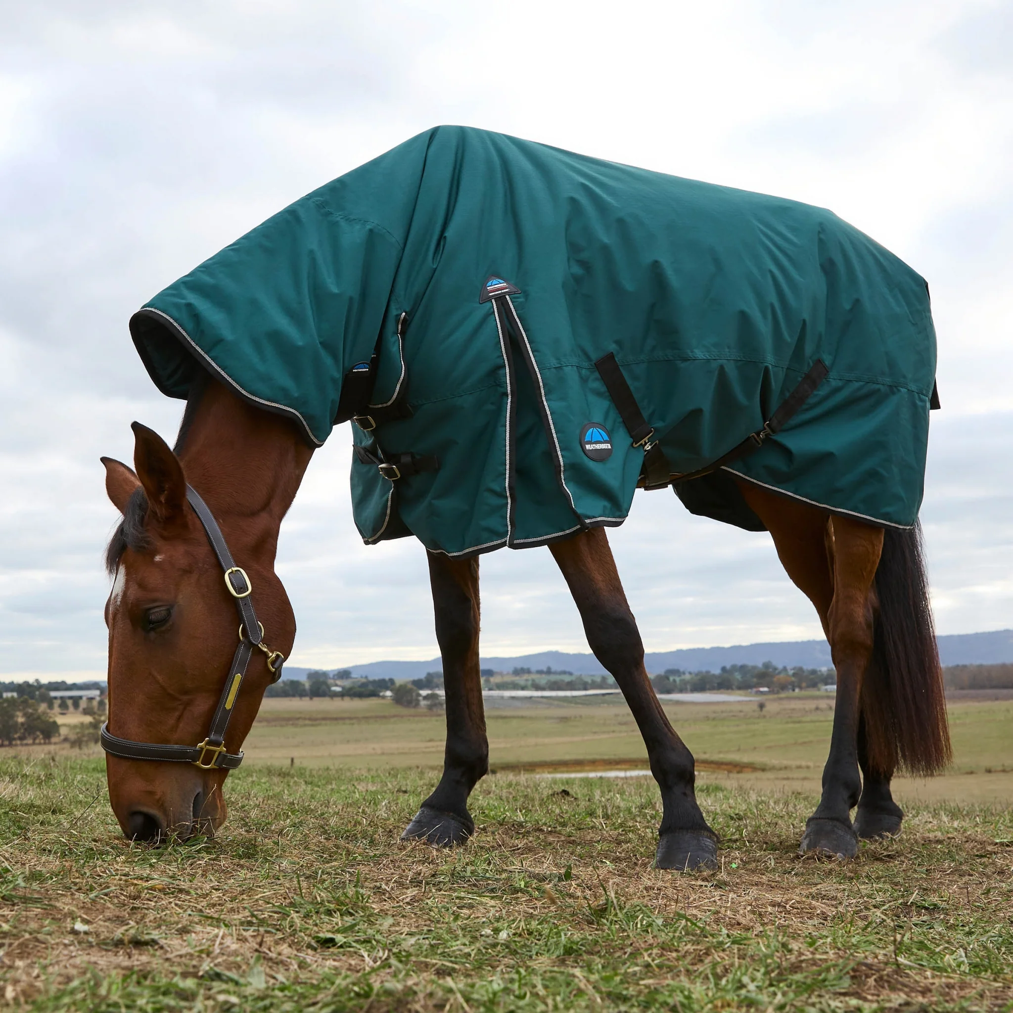 Weatherbeeta ComFiTec Classic Turnout Combo Neck 360g - Image 2