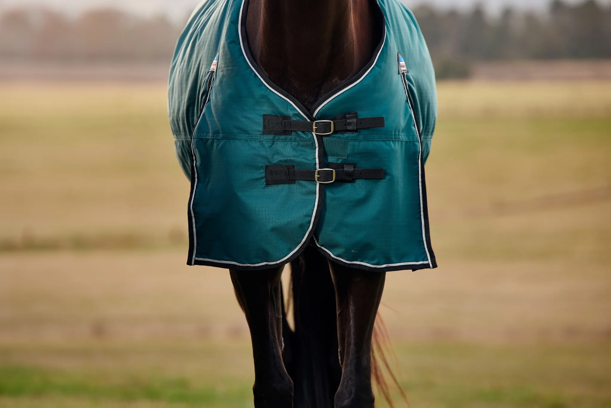 Weatherbeeta ComFiTec Classic Turnout Standard Neck 0g - Image 4