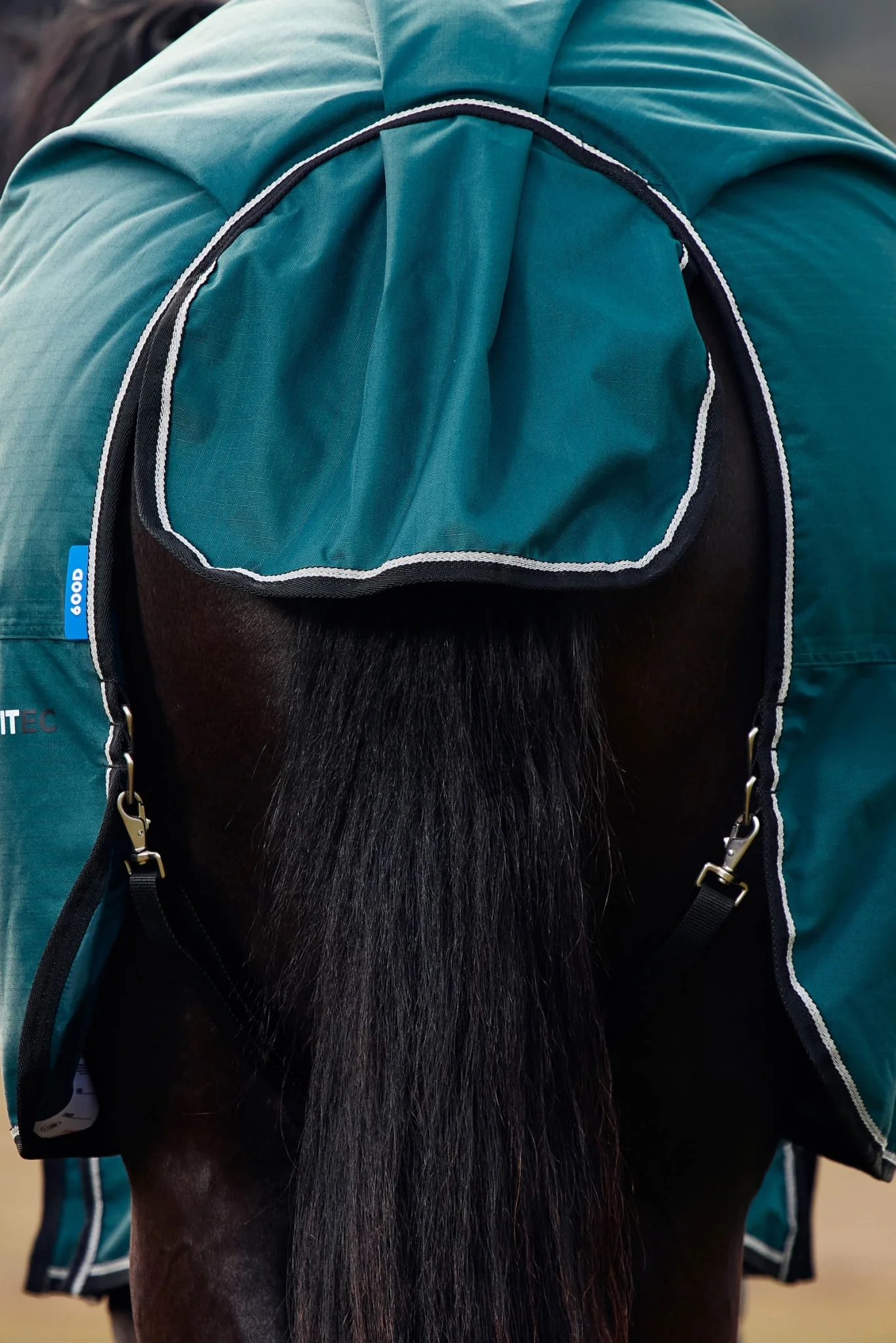 Weatherbeeta ComFiTec Classic Turnout Standard Neck 0g - Image 7