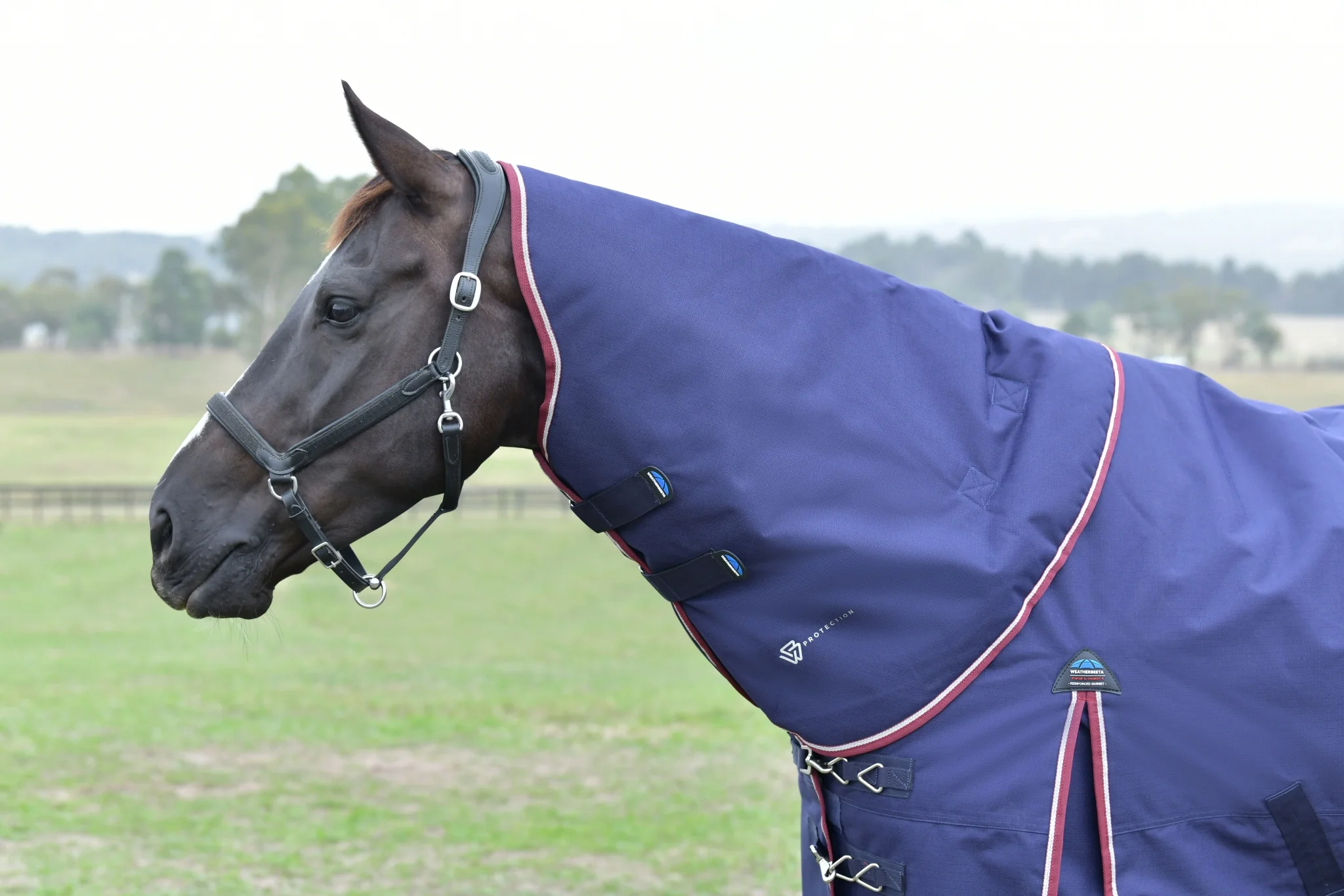 Weatherbeeta ComFiTec Essential Turnout Neck Cover 220g - Image 5