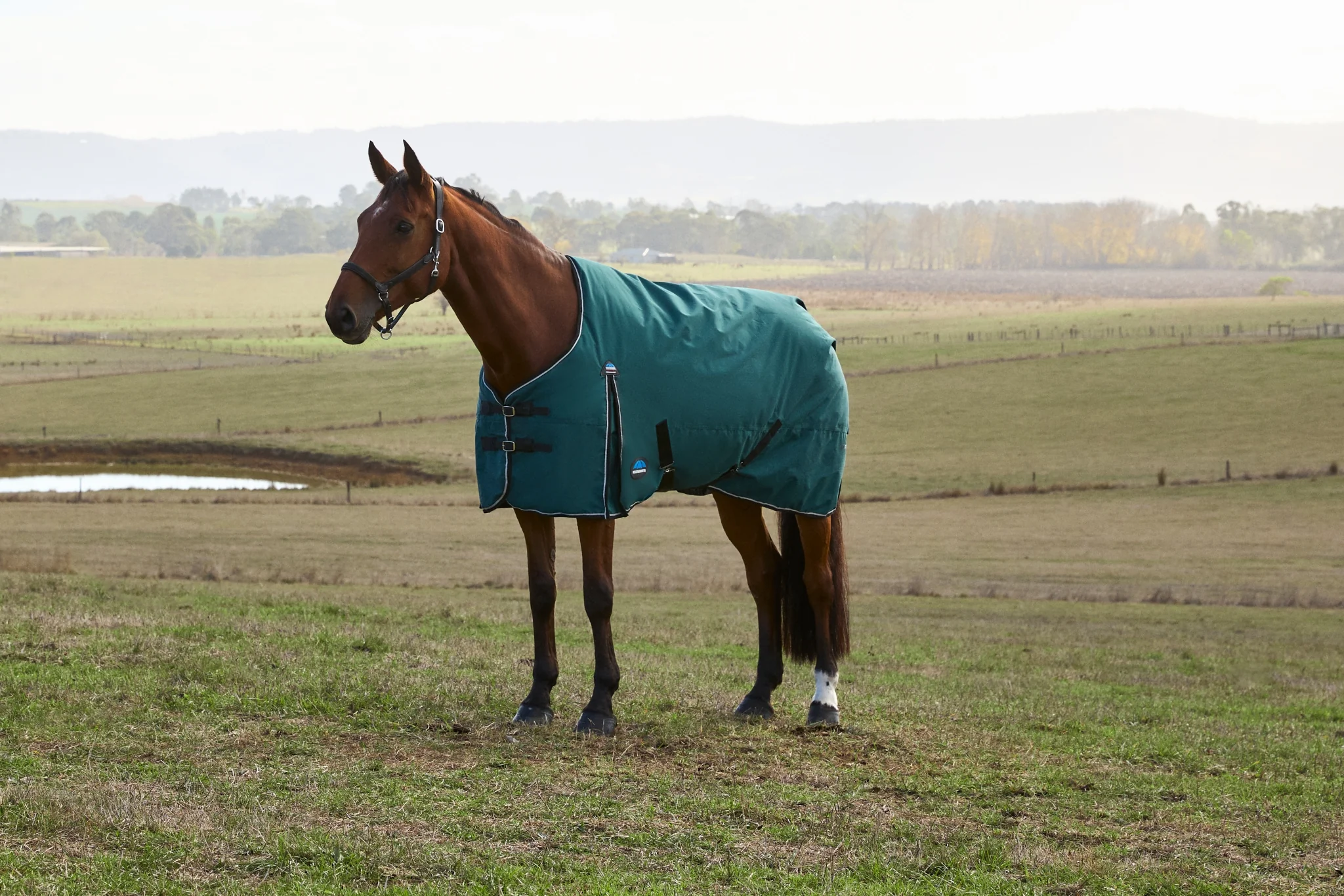 Weatherbeeta ComFiTec Plus Dynamic Turnout Detach-A-Neck 360g - Image 5