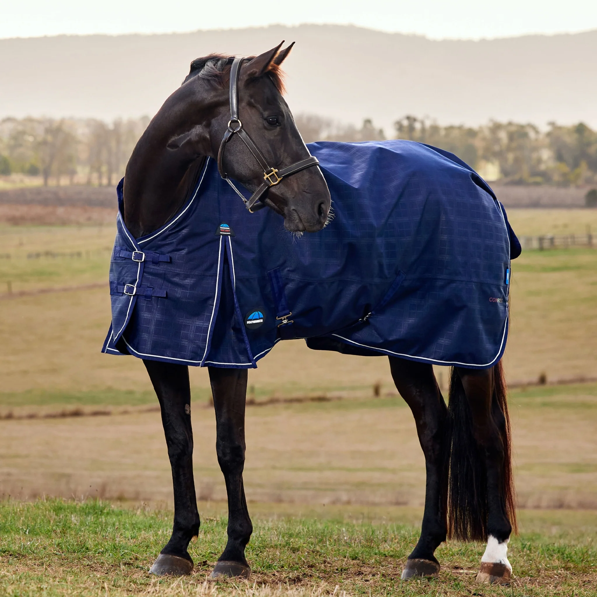 Weatherbeeta ComFiTec Prelim Turnout Standard Neck 220g - Image 2
