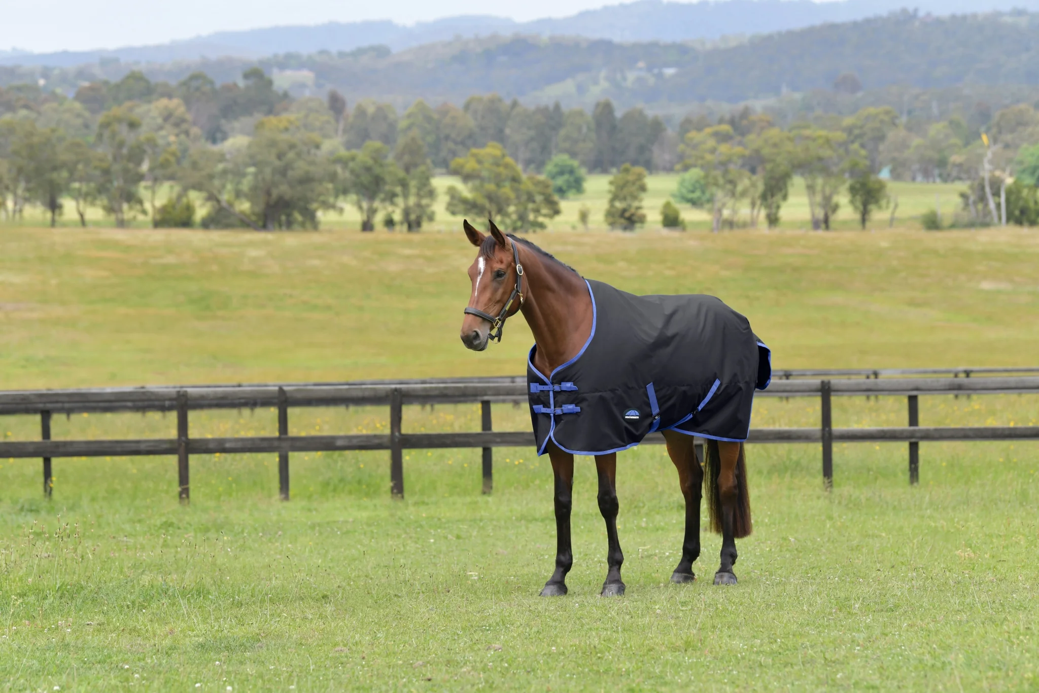 Weatherbeeta ComFiTec Tyro Turnout Standard Neck 220g - Image 3
