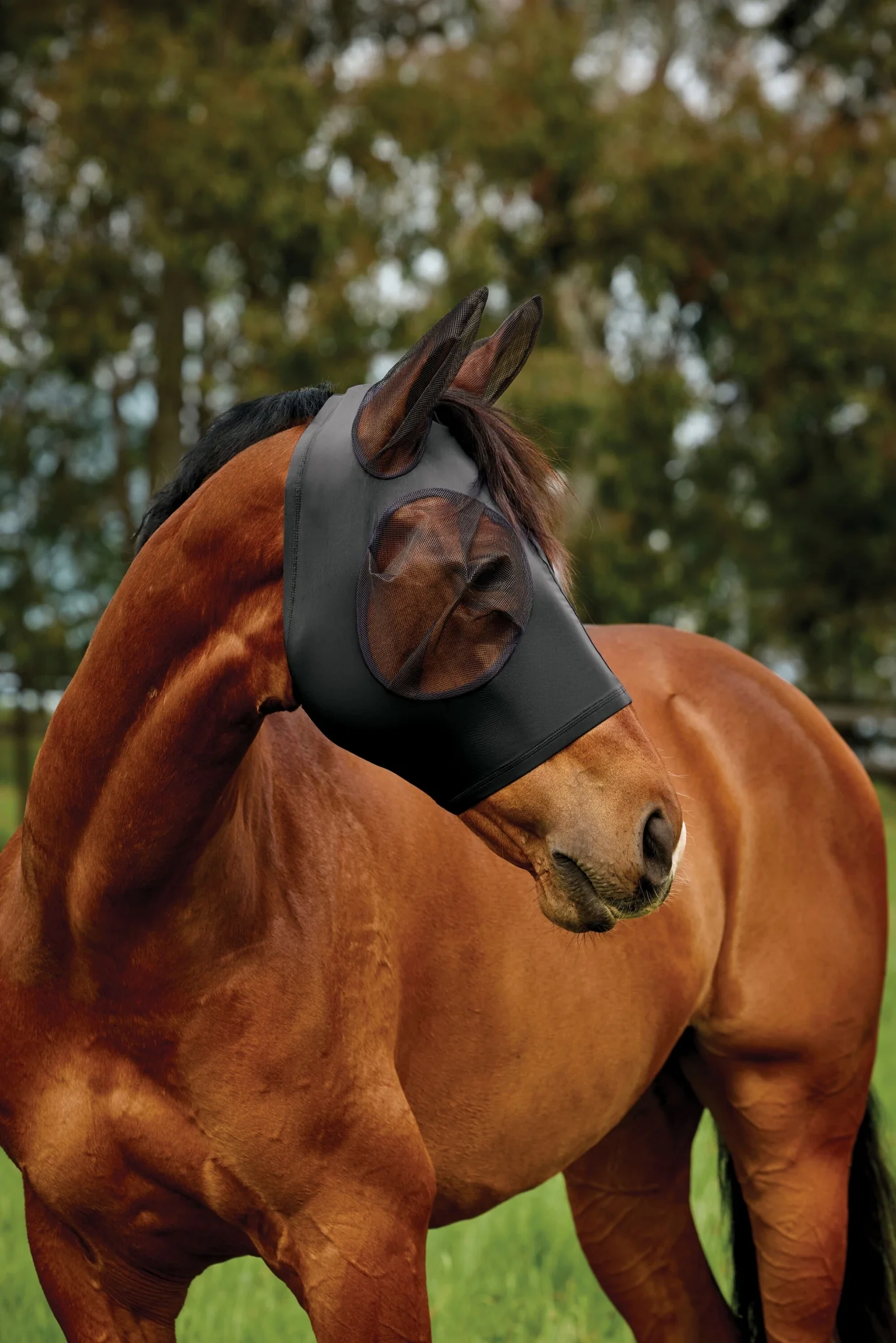 Weatherbeeta ComFiTec Deluxe Stretch Fly Mask with Ears - Image 4