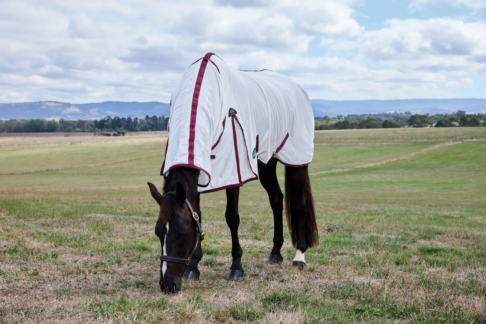 WeatherBeeta ComFiTec Essential Combo Neck Fly Sheet - Image 4