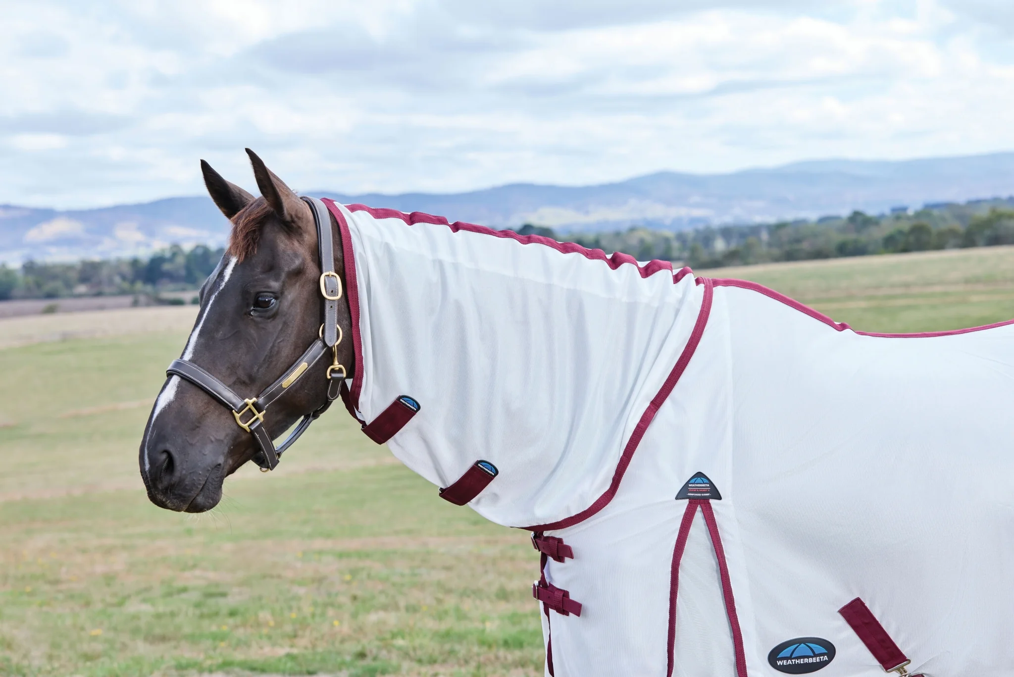 WeatherBeeta ComFiTec Essential Combo Neck Fly Sheet - Image 8