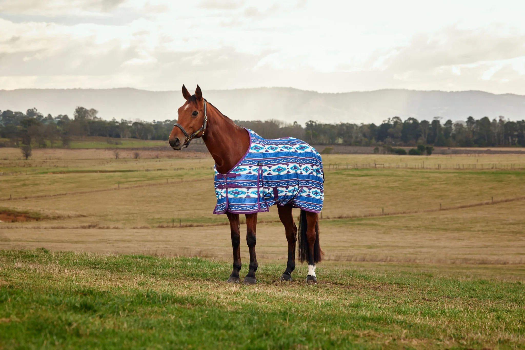 Weatherbeeta ComFiTec Essential Fly Sheet - Image 7