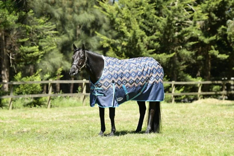 Weatherbeeta ComFiTec Essential Standard Neck Medium Turnout Blanket - Image 11