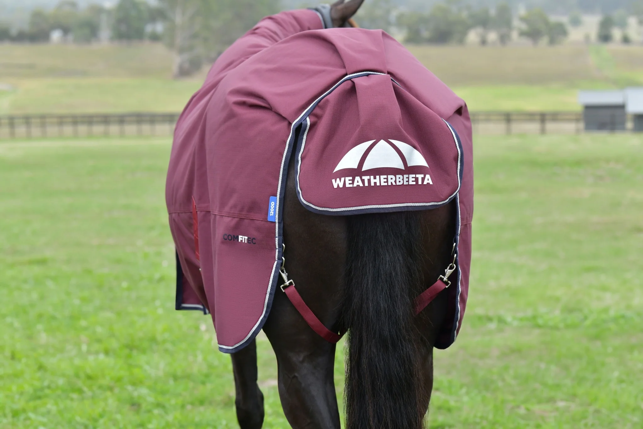 Weatherbeeta ComFiTec Essential Turnout Combo 50g - Image 12