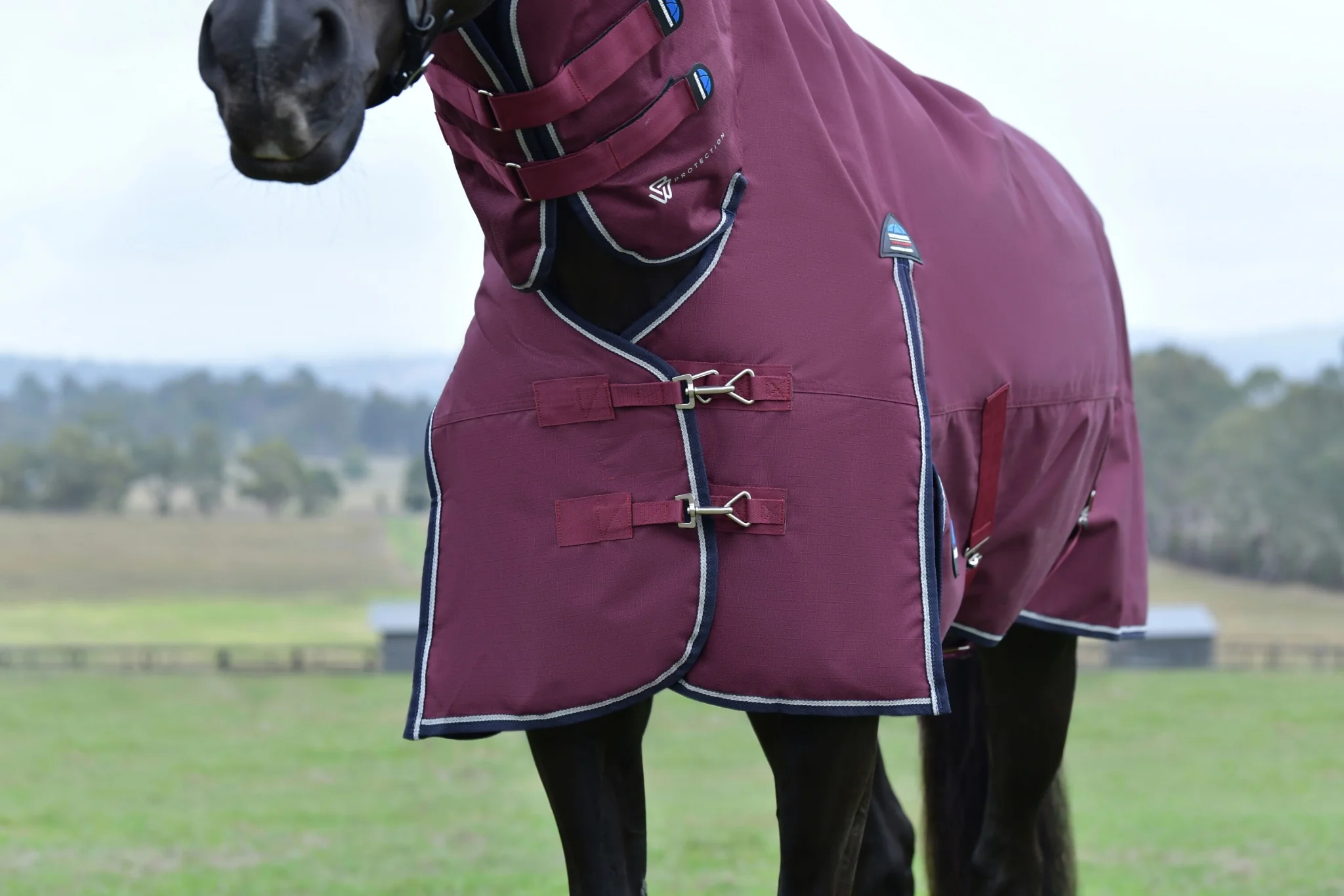 Weatherbeeta ComFiTec Essential Turnout Combo 50g - Image 5
