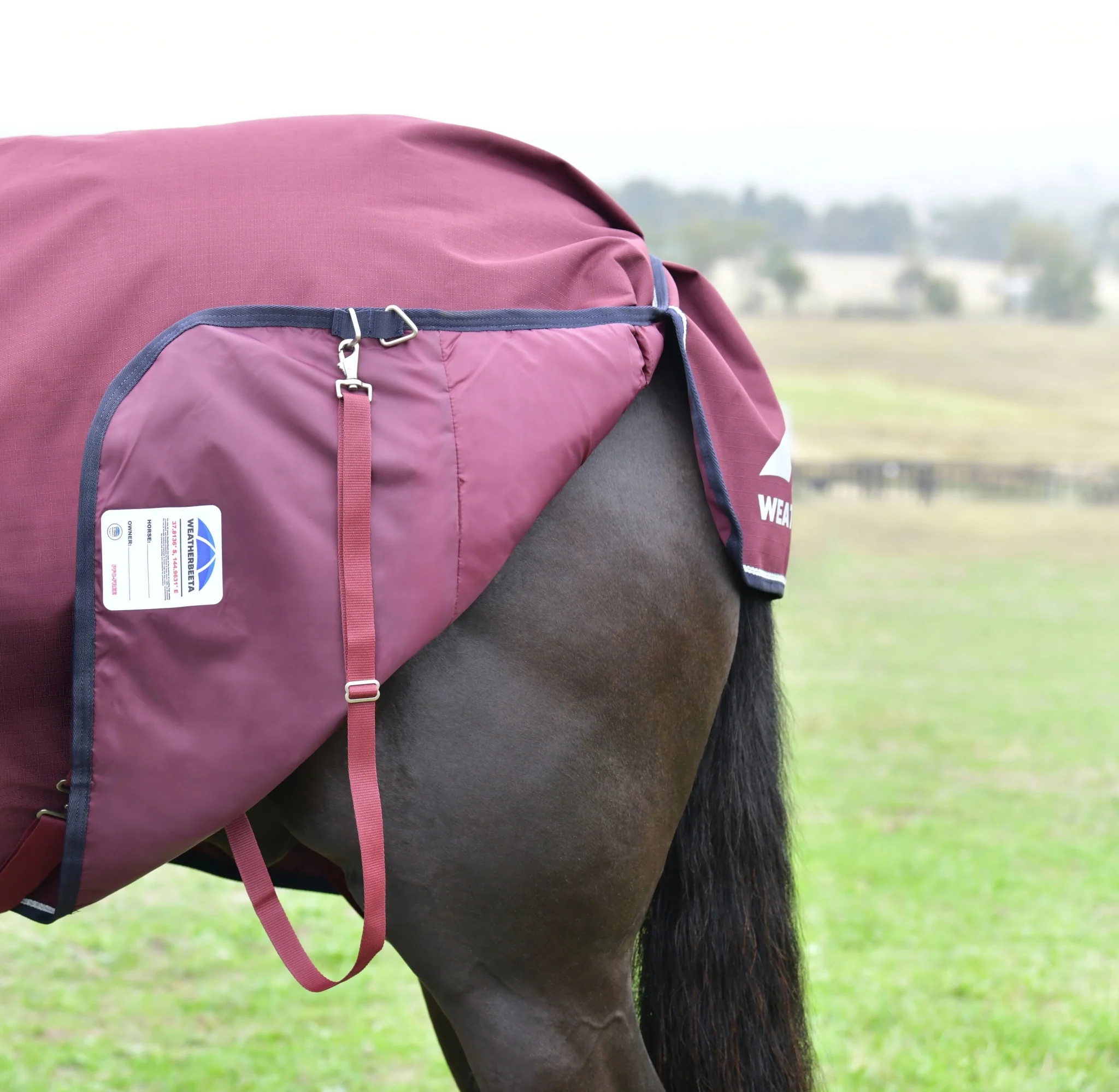 Weatherbeeta ComFiTec Essential Turnout Combo 50g - Image 7