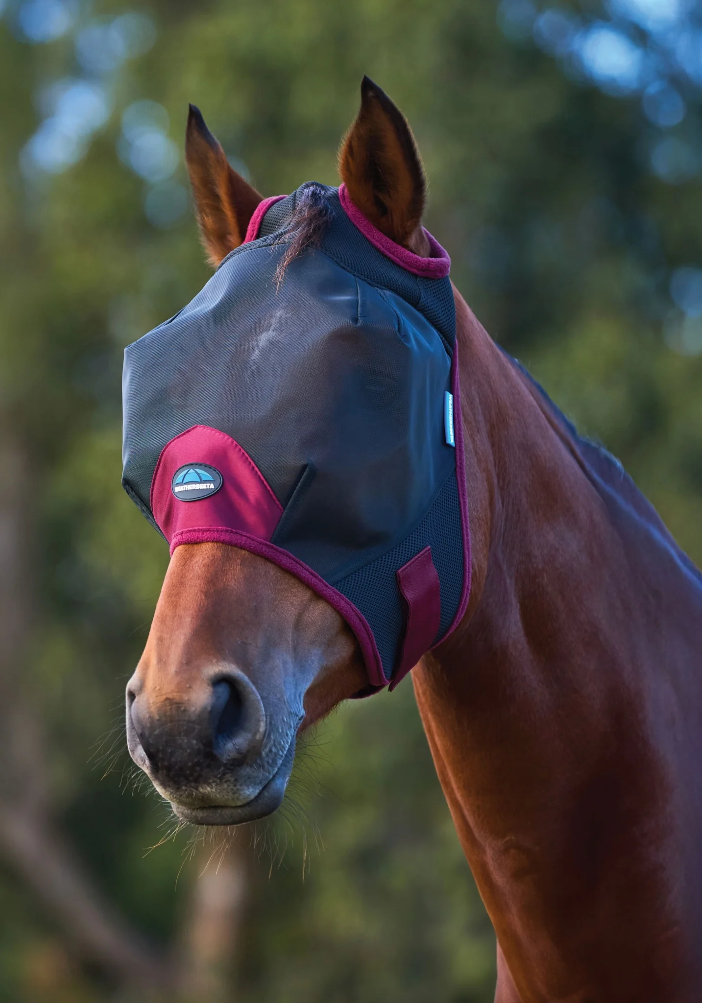 Weatherbeeta ComFiTec Fine Mesh Fly Mask - Image 3