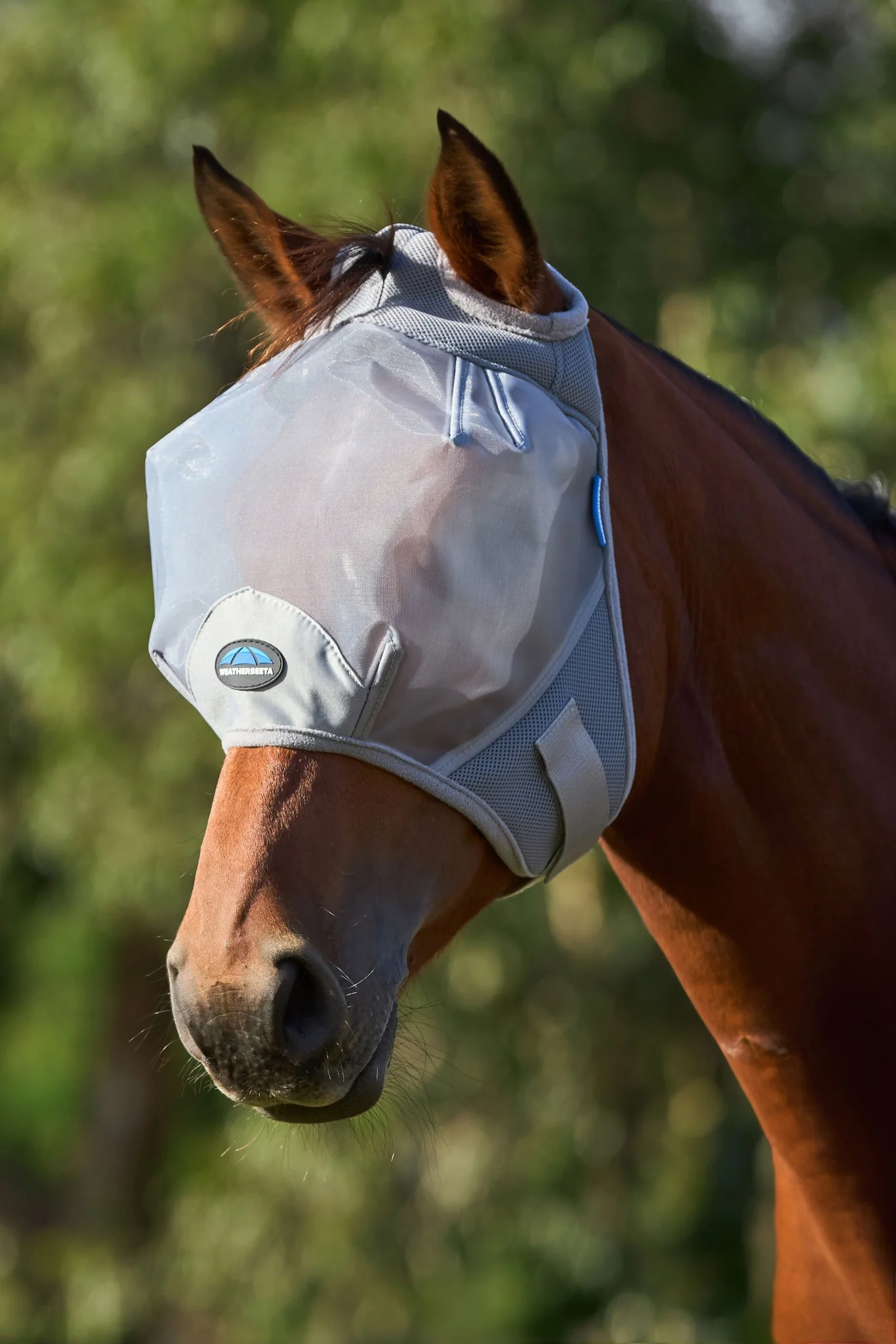 Weatherbeeta ComFiTec Fine Mesh Fly Mask - Image 4