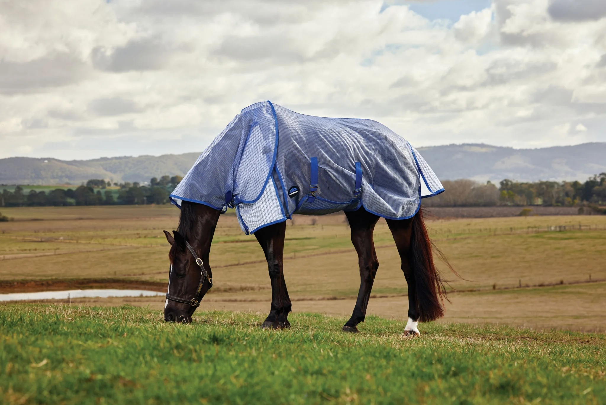 Weatherbeeta ComFiTec Ripshield Fly Sheet Detach-A-Neck - Image 10