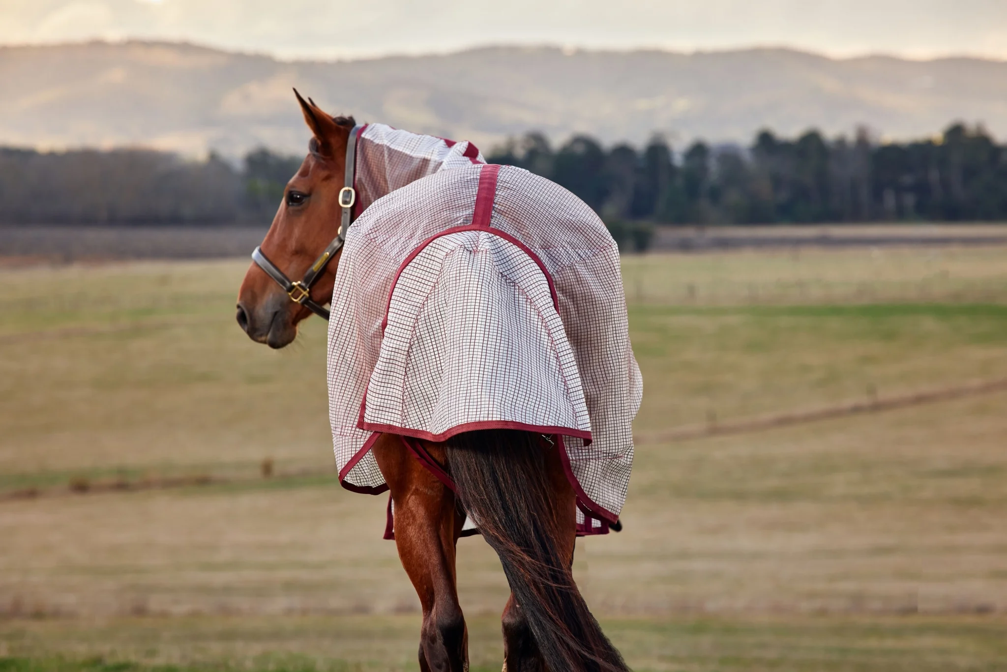 Weatherbeeta ComFiTec Ripshield Fly Sheet Detach-A-Neck - Image 8