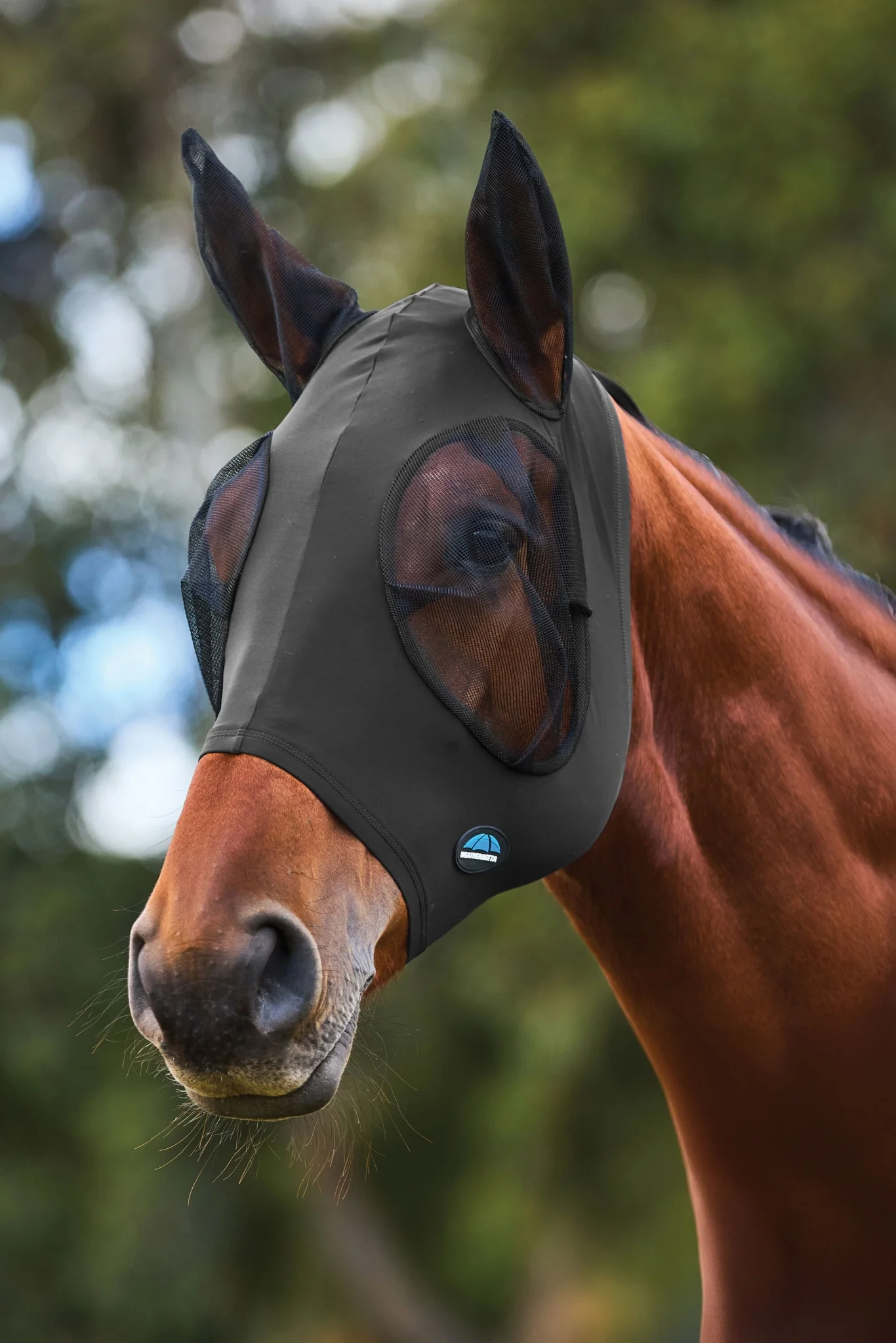Weatherbeeta ComFiTec Stretch Fly Mask with Ears - Image 10