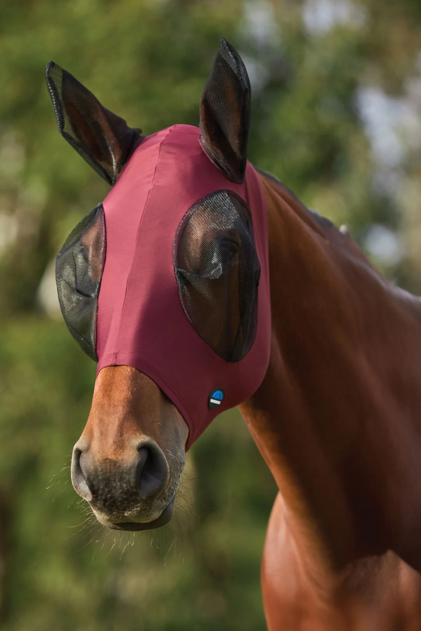 Weatherbeeta ComFiTec Stretch Fly Mask with Ears - Image 9