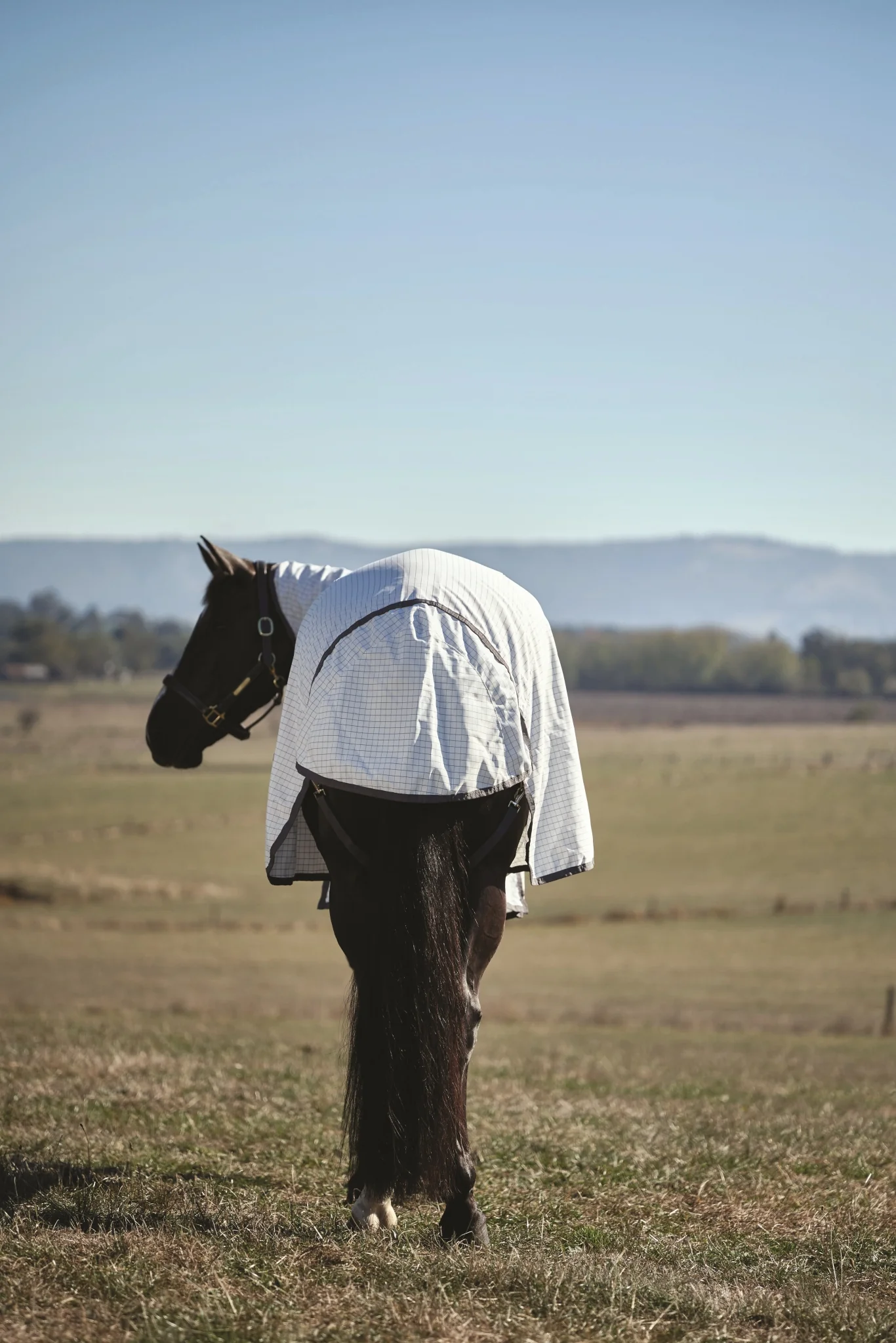 Weatherbeeta Hybrid Sheet Combo - Image 9