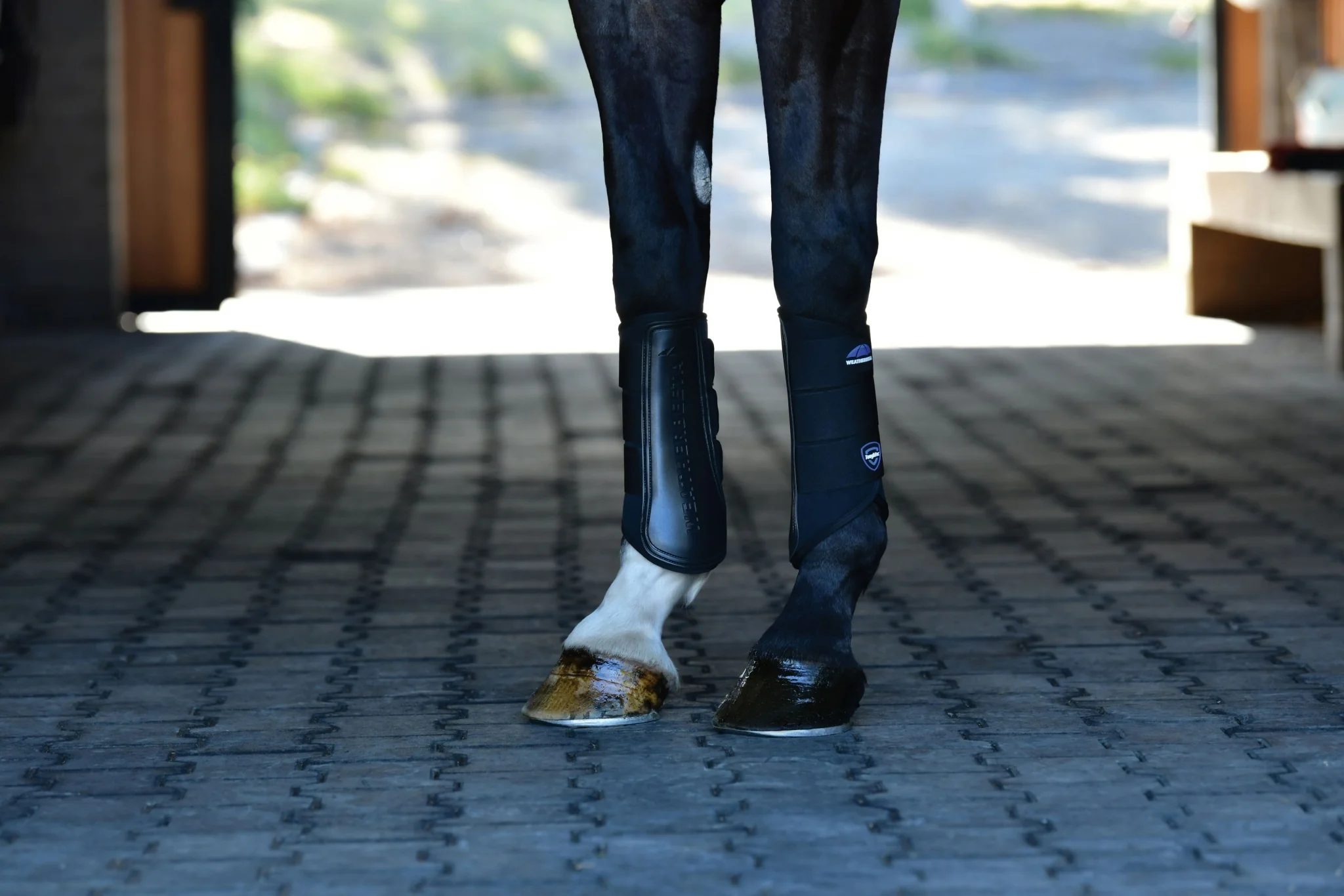 Weatherbeeta Tough-Tec Prime Brushing Boots - Image 11